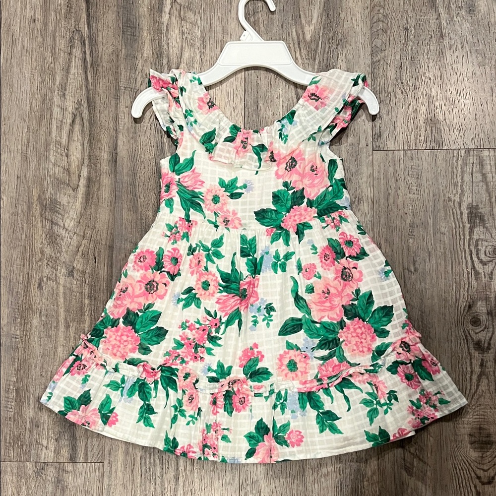 Janie and Jack Pink Floral Dress